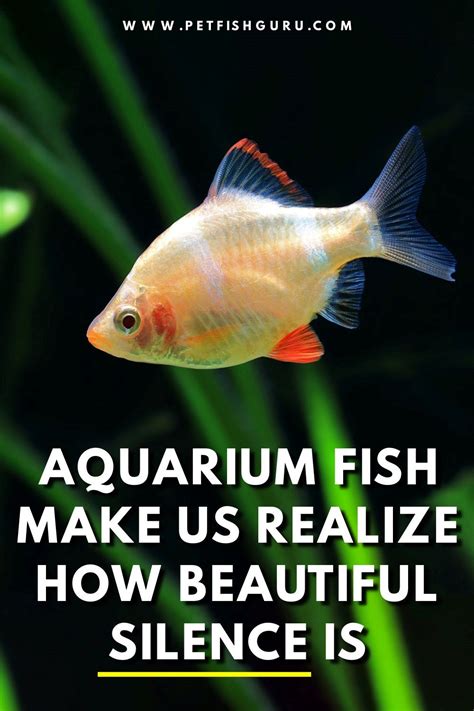 clever fish sayings.